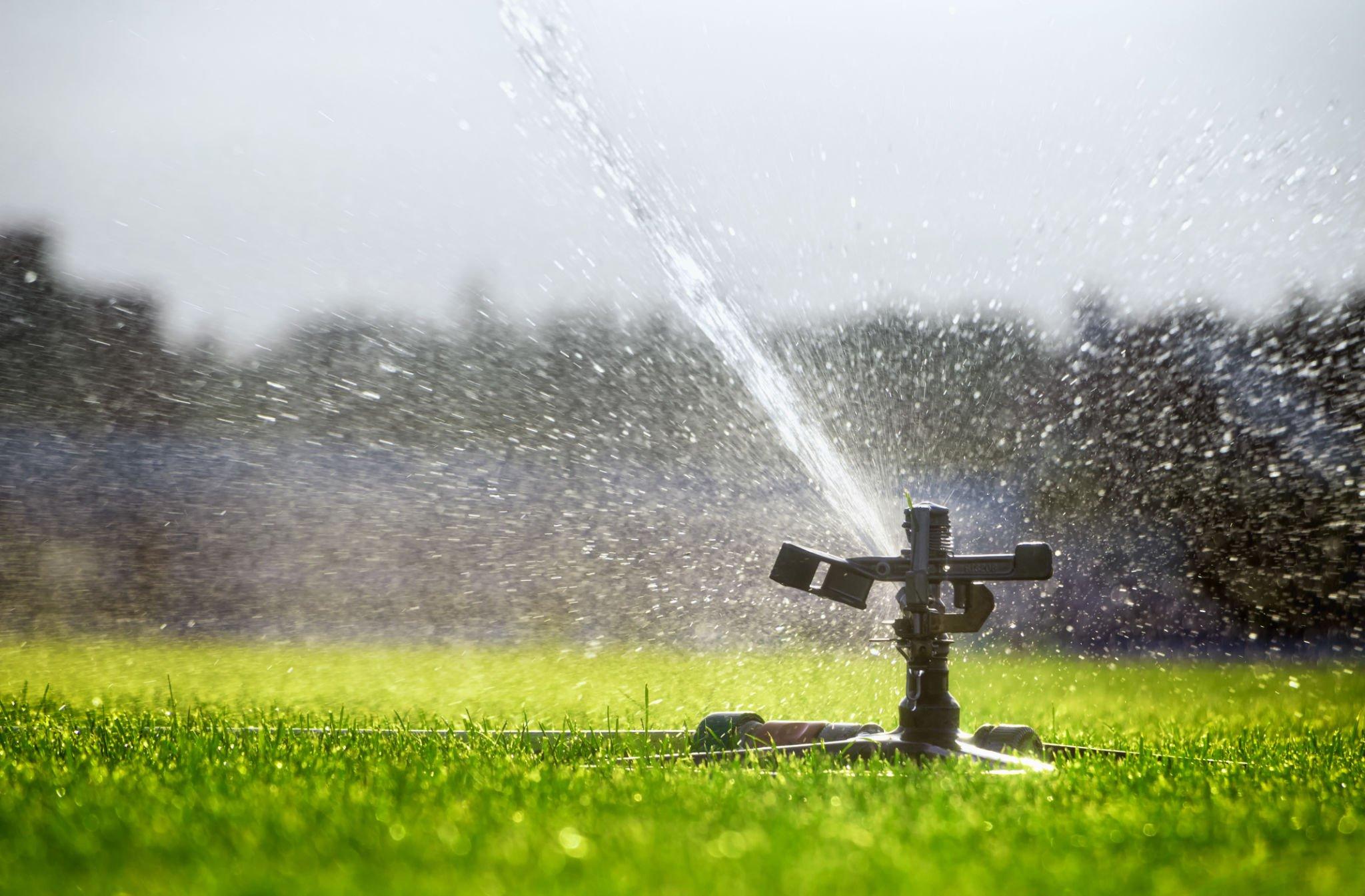 How to Set Watering Schedules for Sprinkler Systems