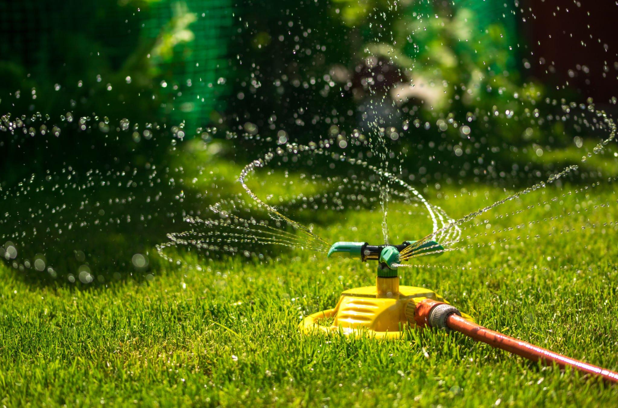 Sprinkler System Drip Irrigation Conversion